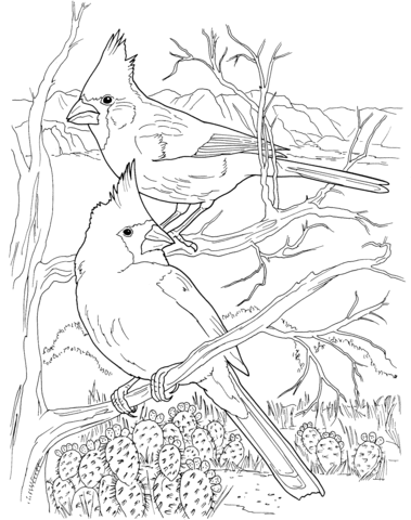 Desert Cardinals Coloring Page